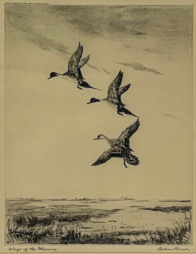 Wings of the Morning