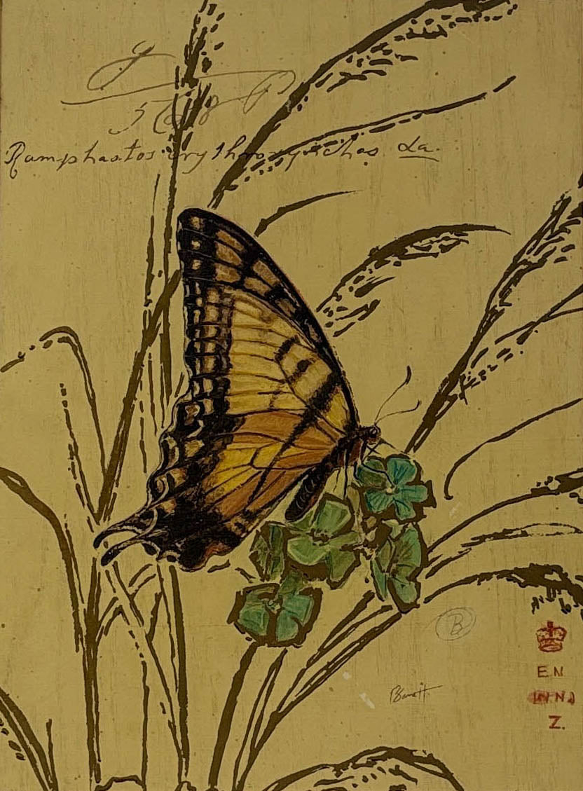 Golden Wings in Stillness