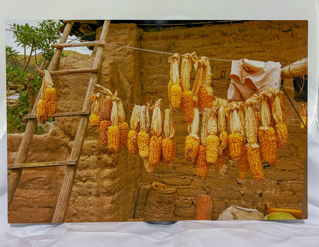 Mission Trip #6 Corn Ecuador