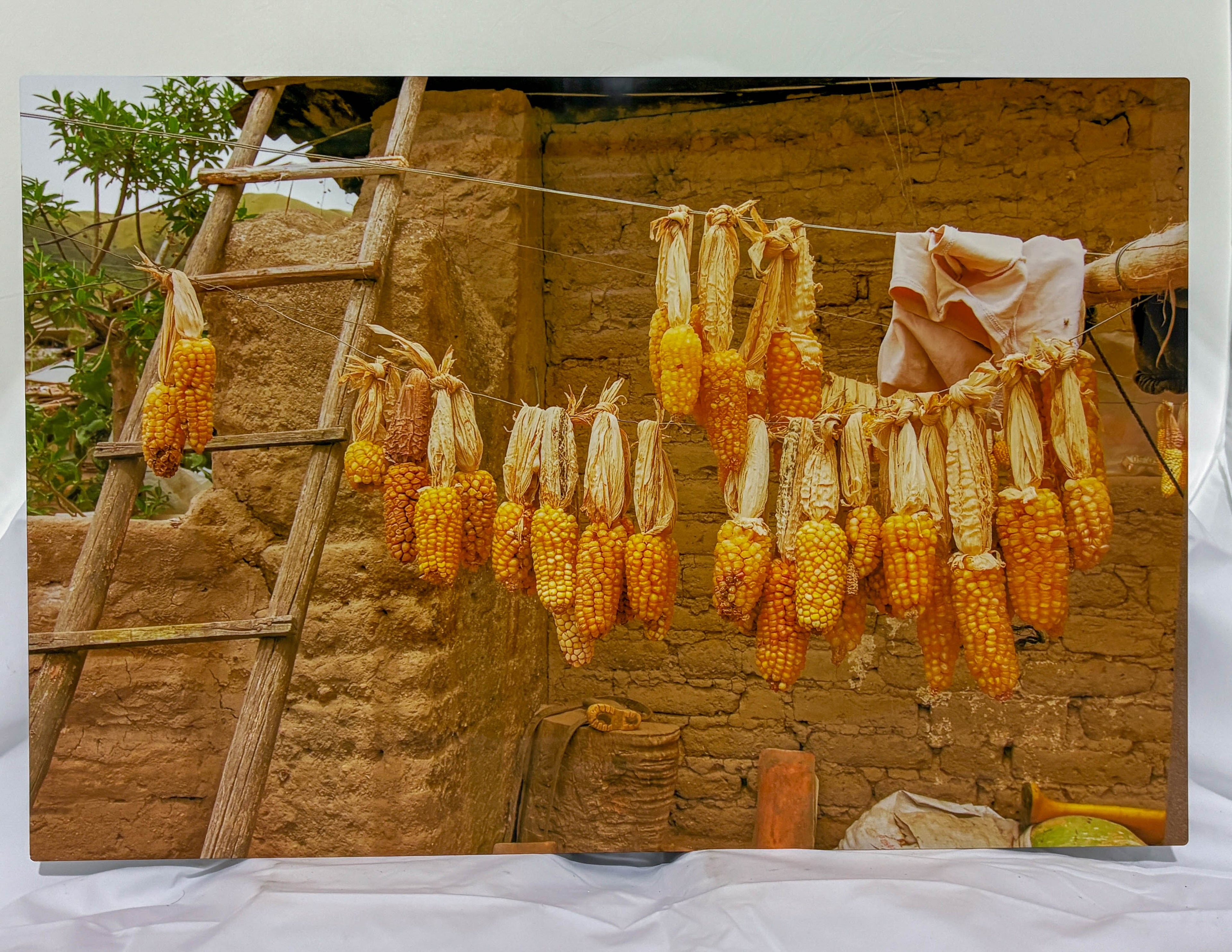 Mission Trip #6 Corn Ecuador