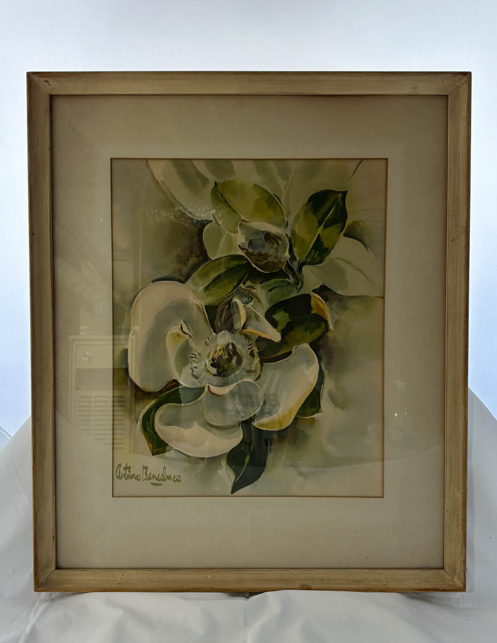 Magnolia Reverie