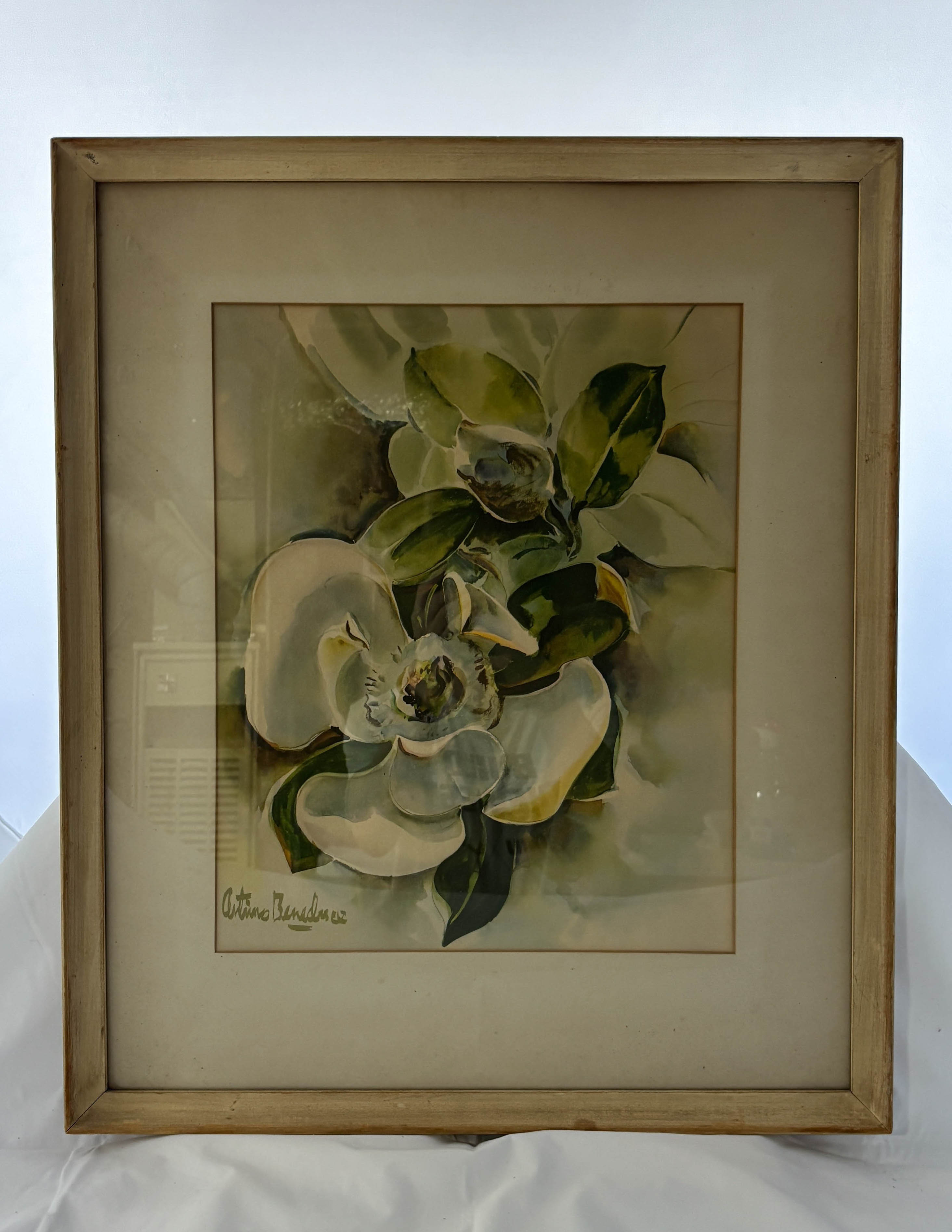 Magnolia Reverie