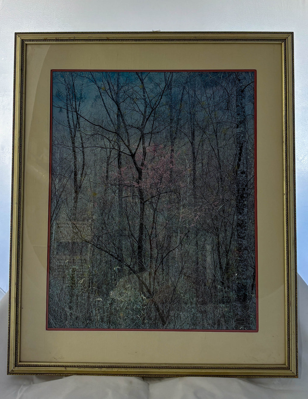 Forest Veil