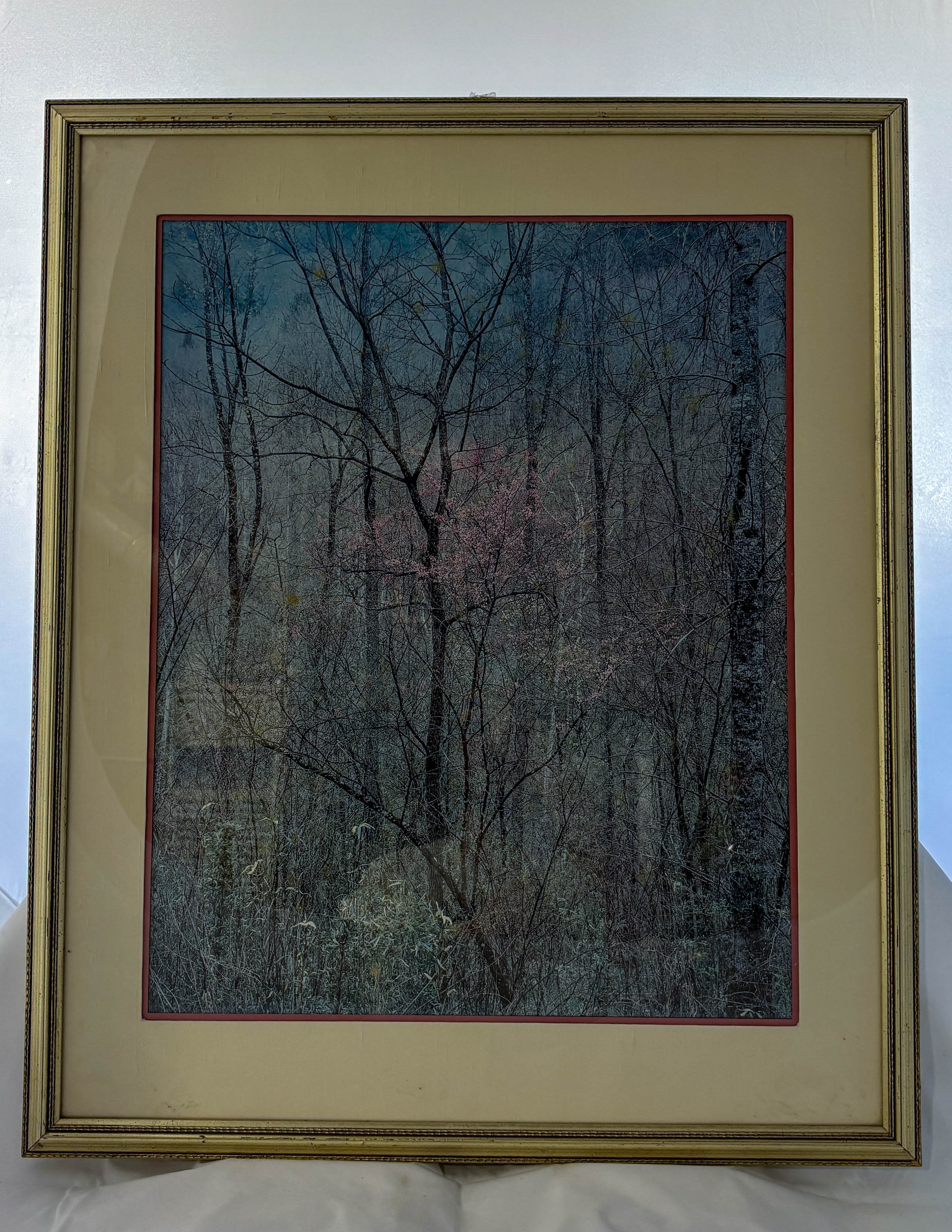 Forest Veil