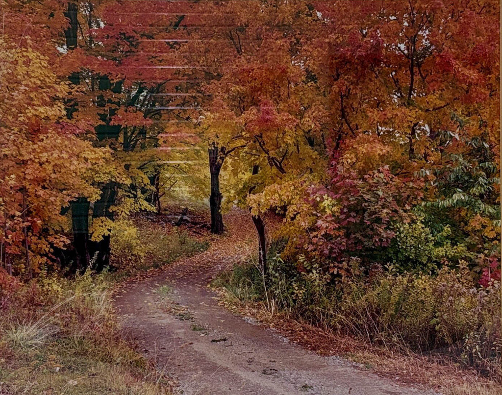 Walk, Don’t Run, Vermont