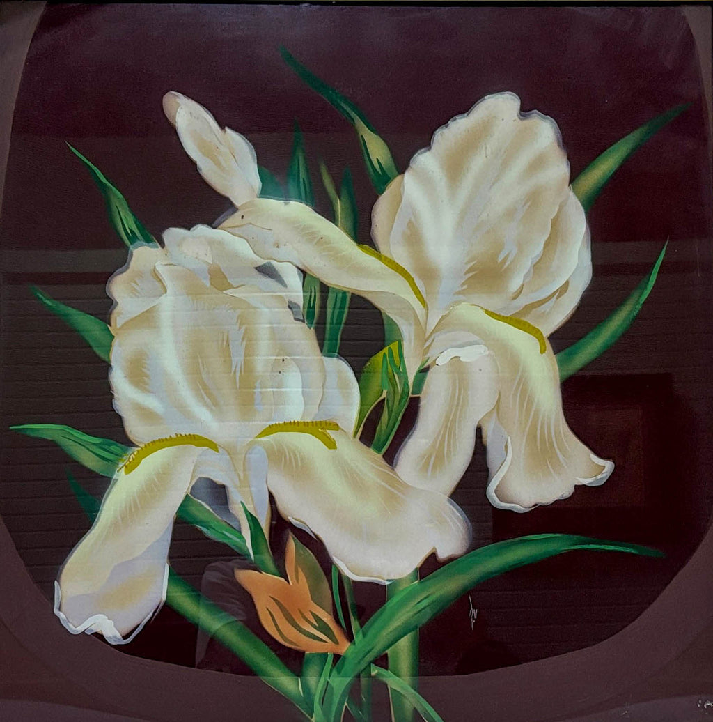 White Iris