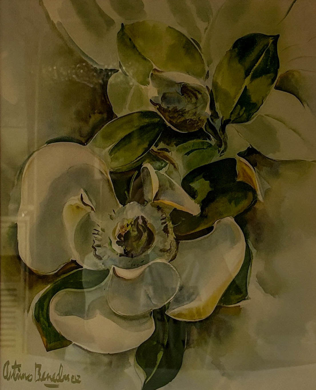 Magnolia Reverie