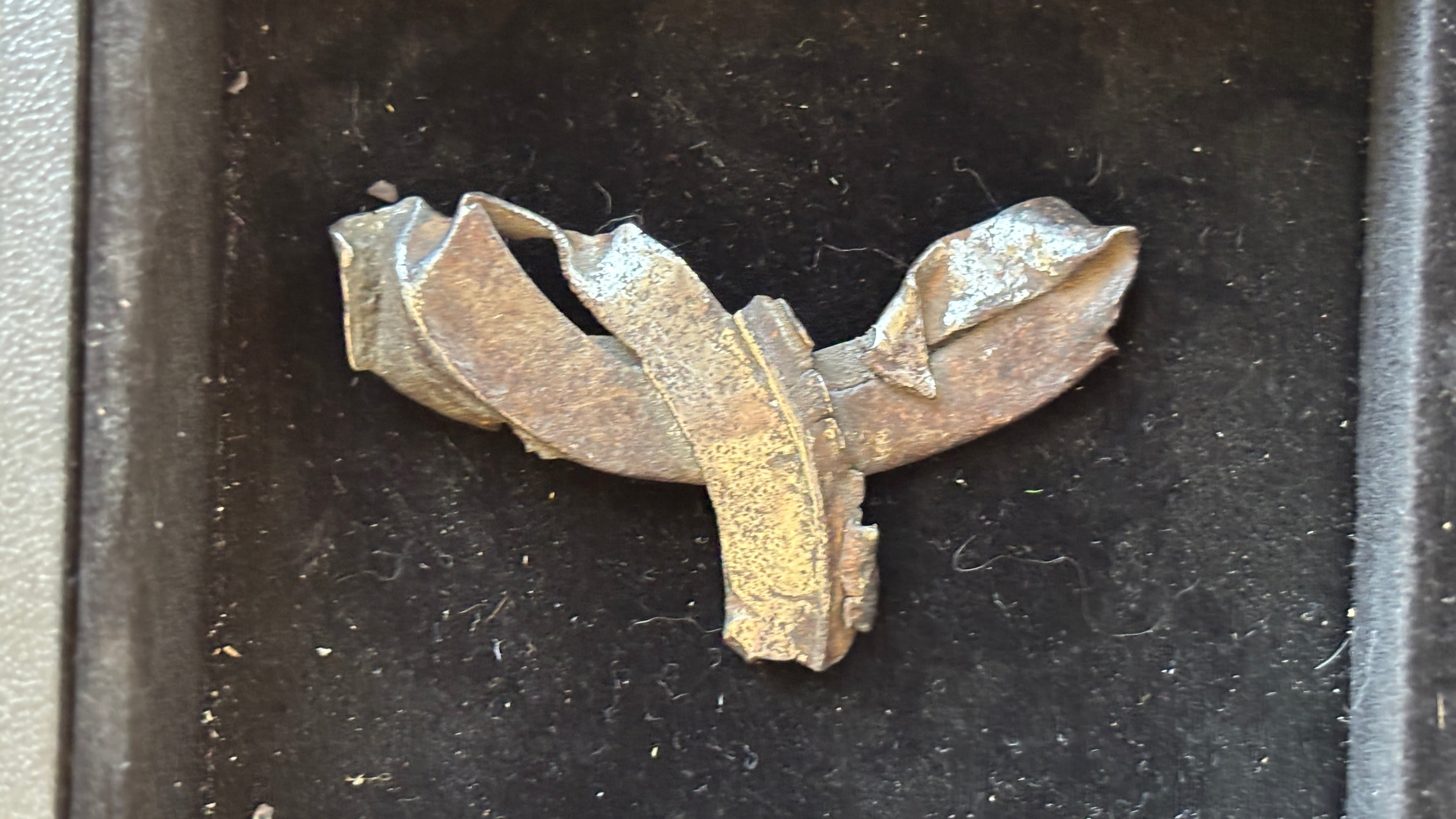 Found Object "Droolery" #7