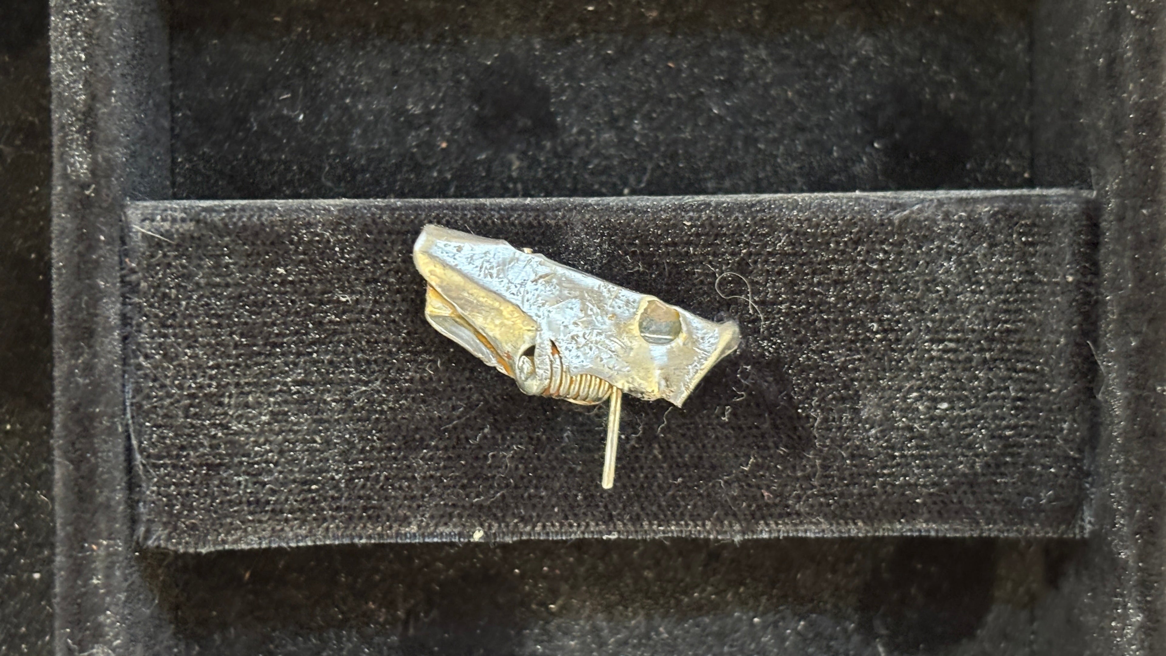 Found Object "Droolery" #15