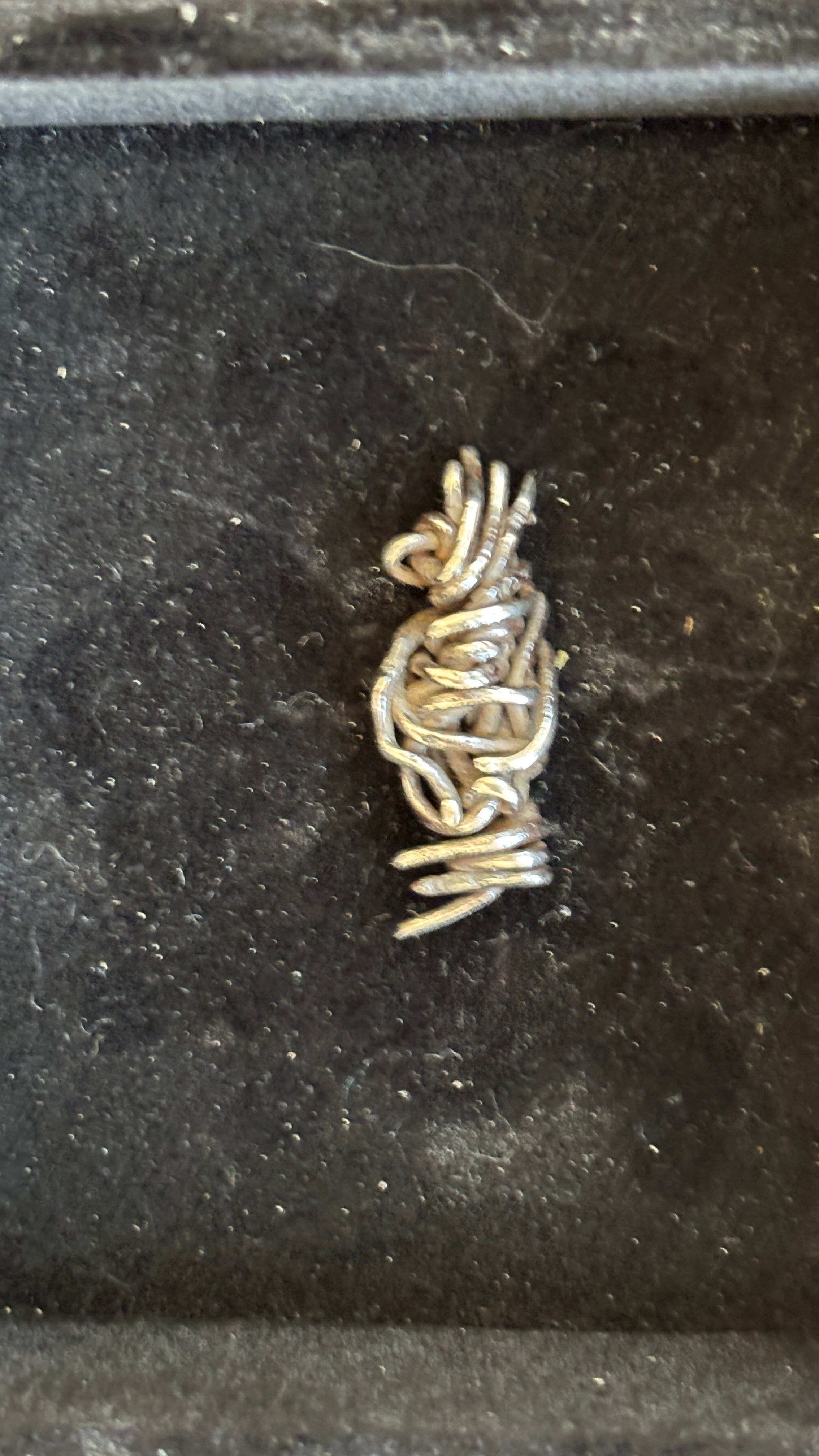Found Object "Droolery" #21