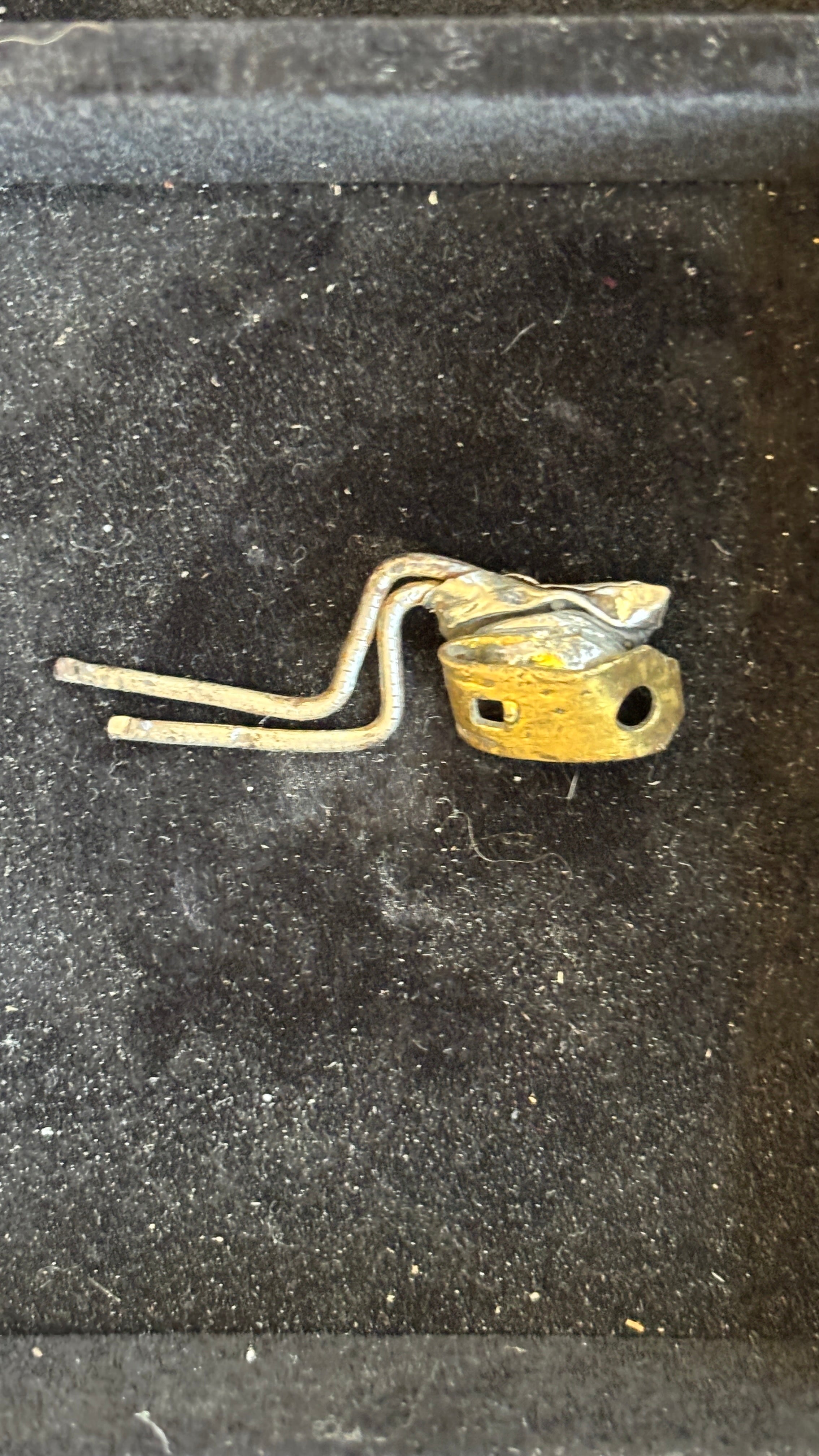 Found Object "Droolery" #24