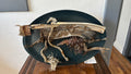 The Remains of the Ancient Dog Fish