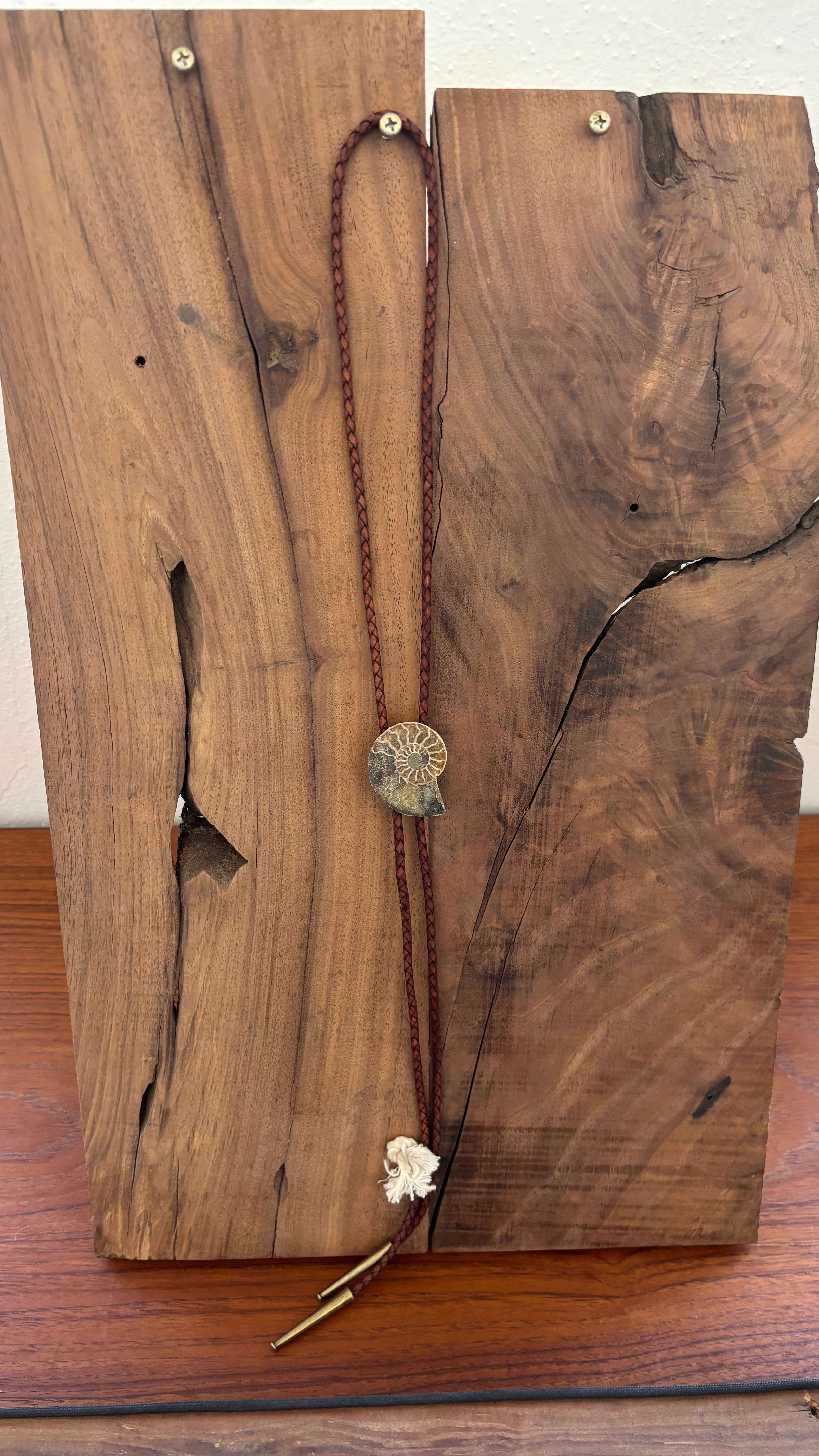 Bolo Tie #31