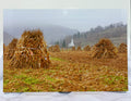 Mission Trip #4 Rural  Landscape Romania