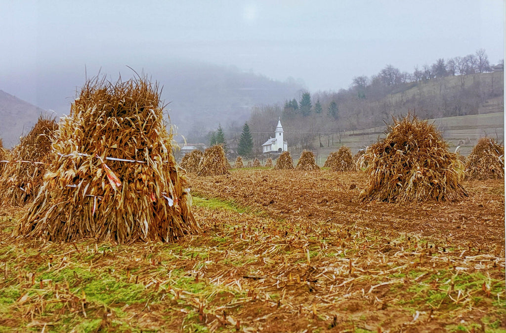 Mission Trip #4 Rural  Landscape Romania