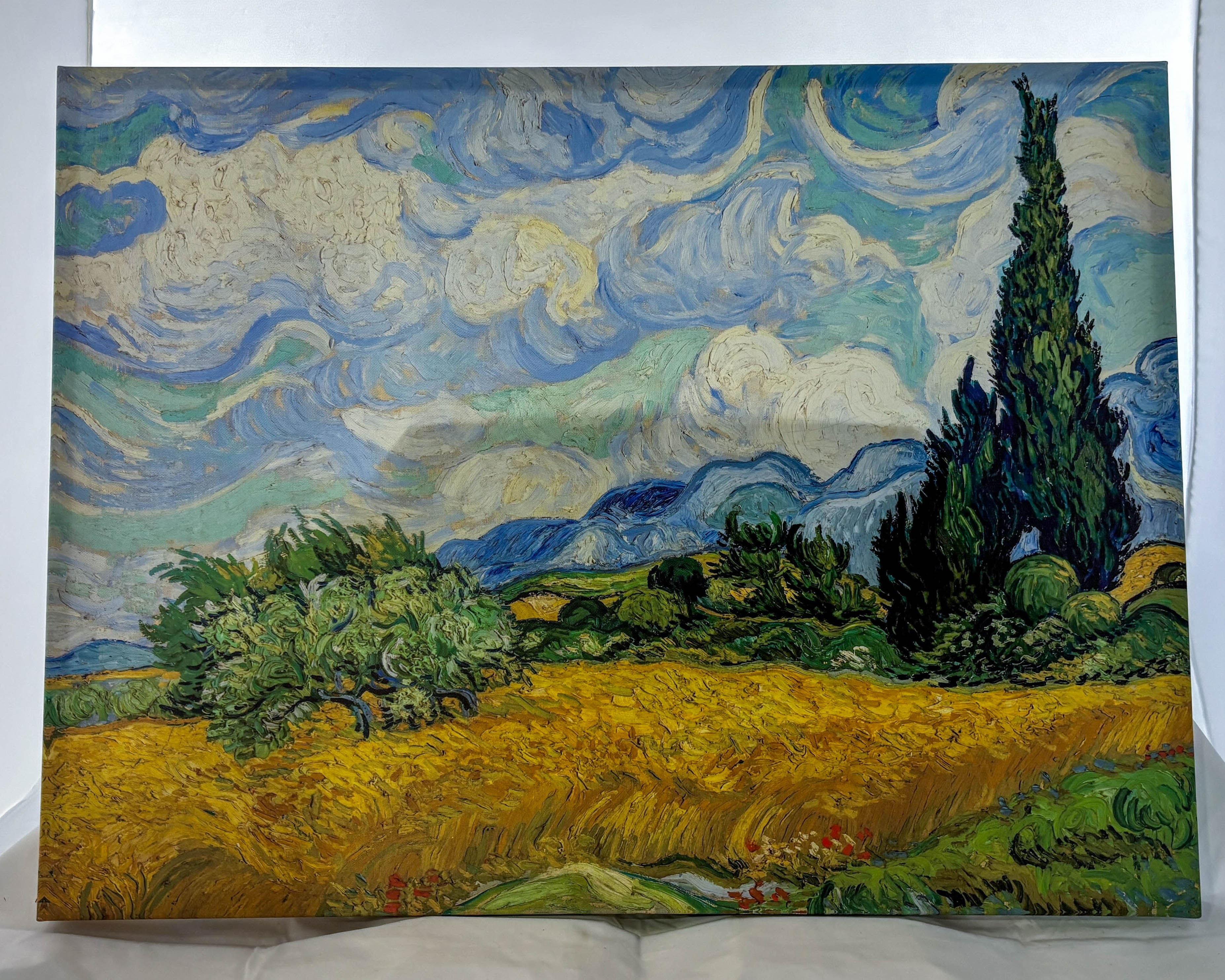 Wheat Field With Cypresses