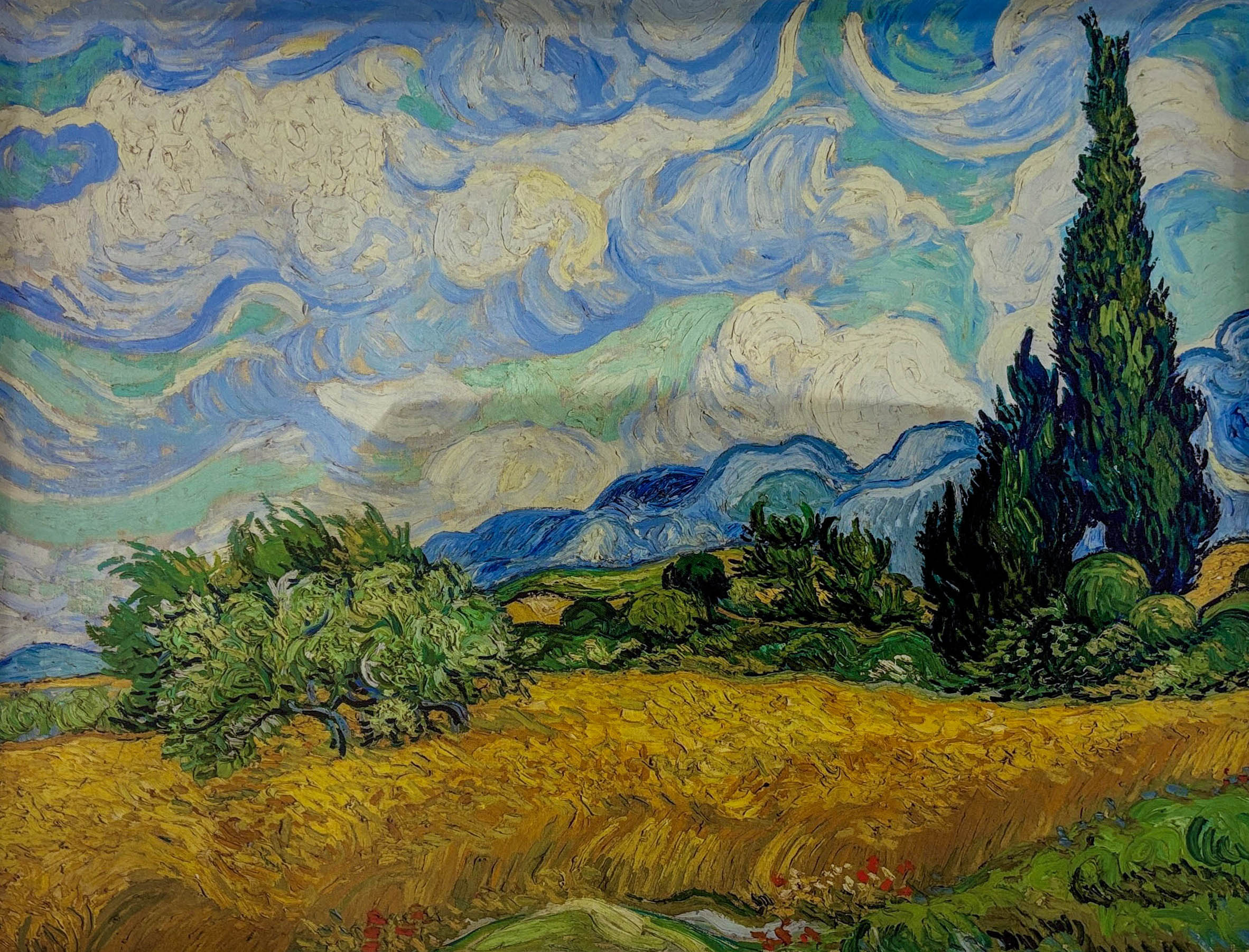 Wheat Field With Cypresses